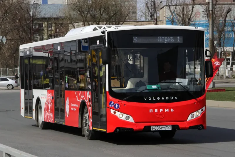 53 Автобус Пермь