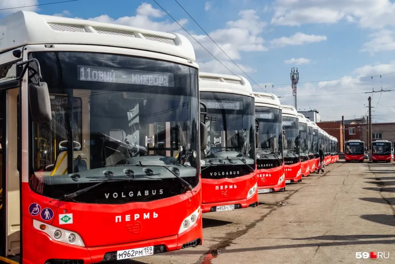 Автобус Ростов Москва