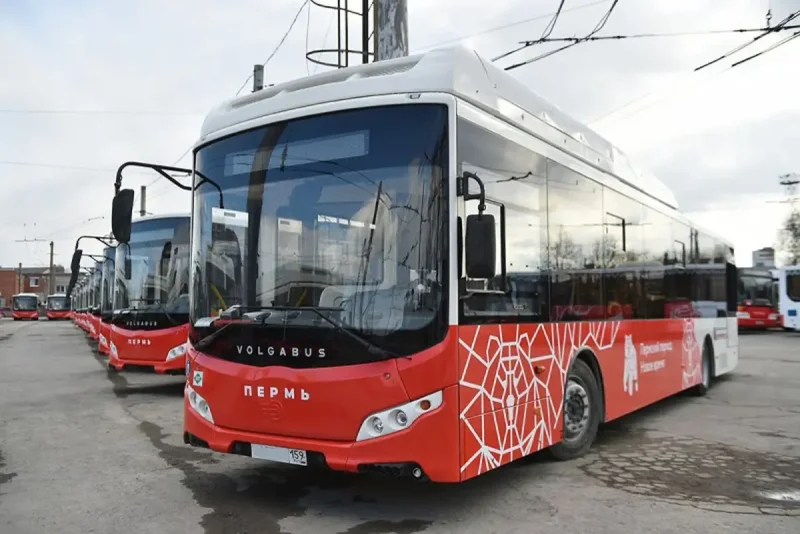 Пермский автобус