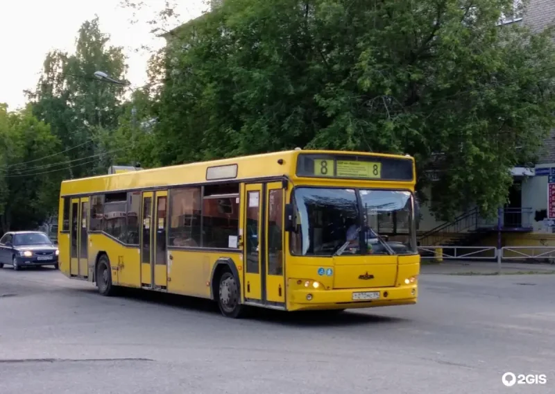 VOLGABUS 2021