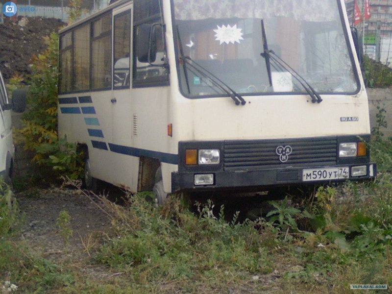 Автобус Tambus