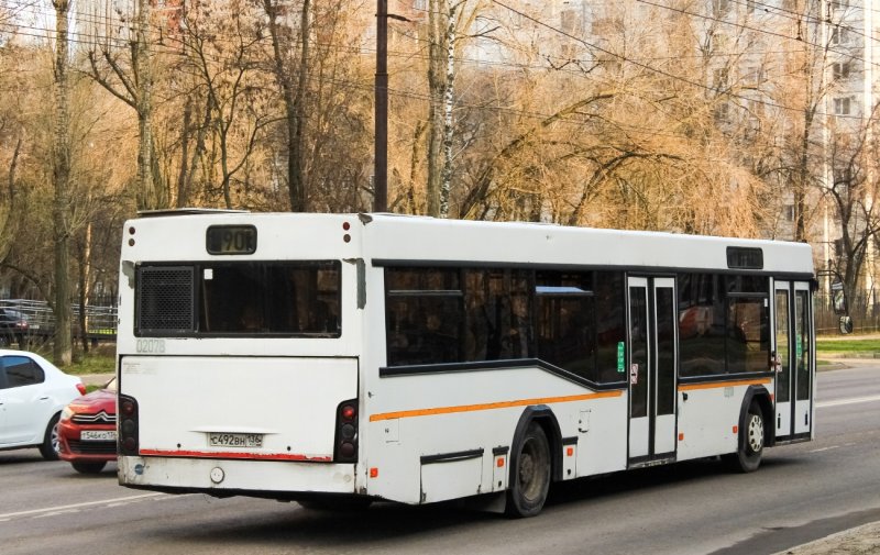 МАЗ 203 экспортный