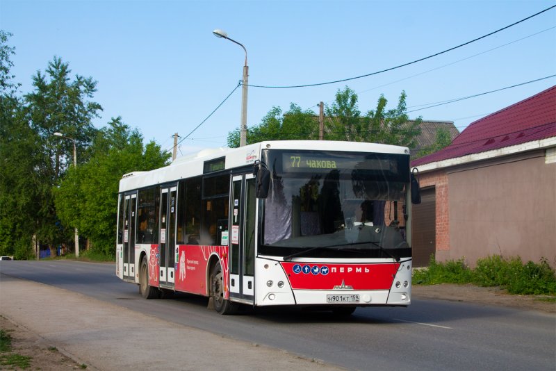 Автобус фото