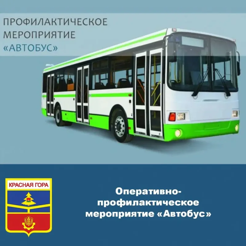 ОПМ перевозчик ГИБДД