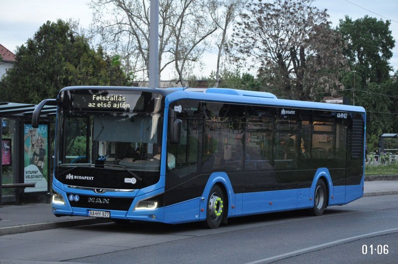 Ман Lion s coach 2019