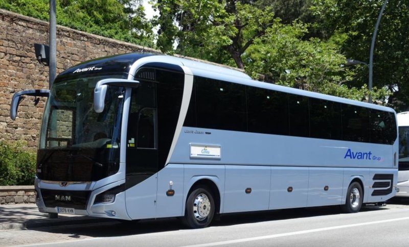 Man Lion's coach т639рн71