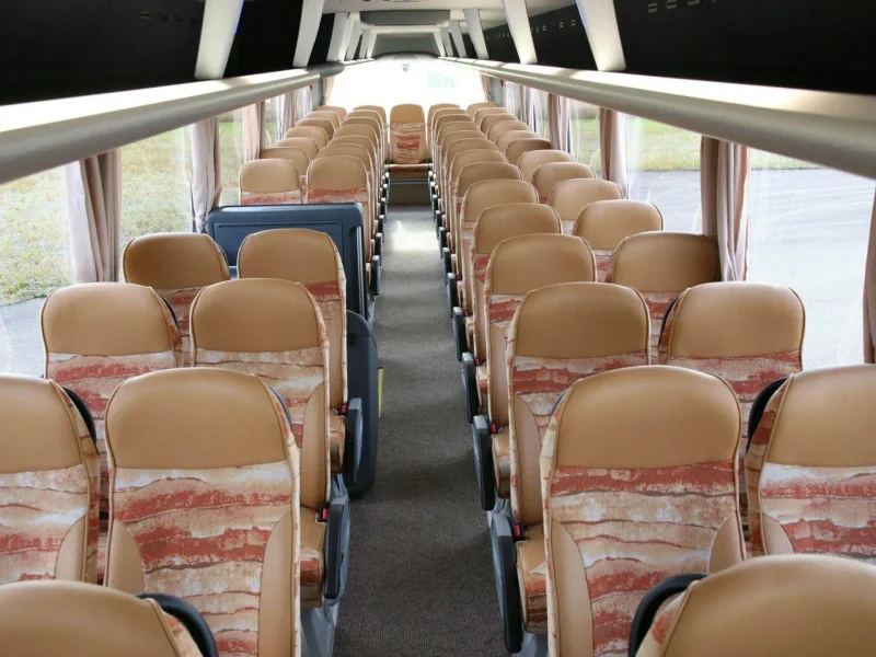 Man Lion's coach 2017 сидение гида