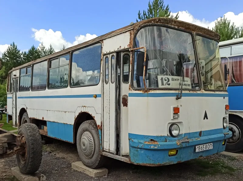 Автобус лаз фото старого образца