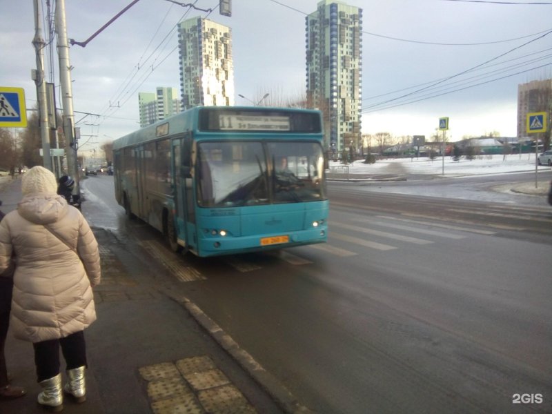 Автобус 11