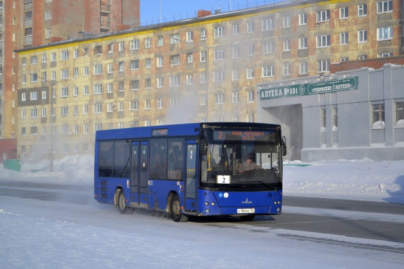 НЕФАЗ-5299 автобус