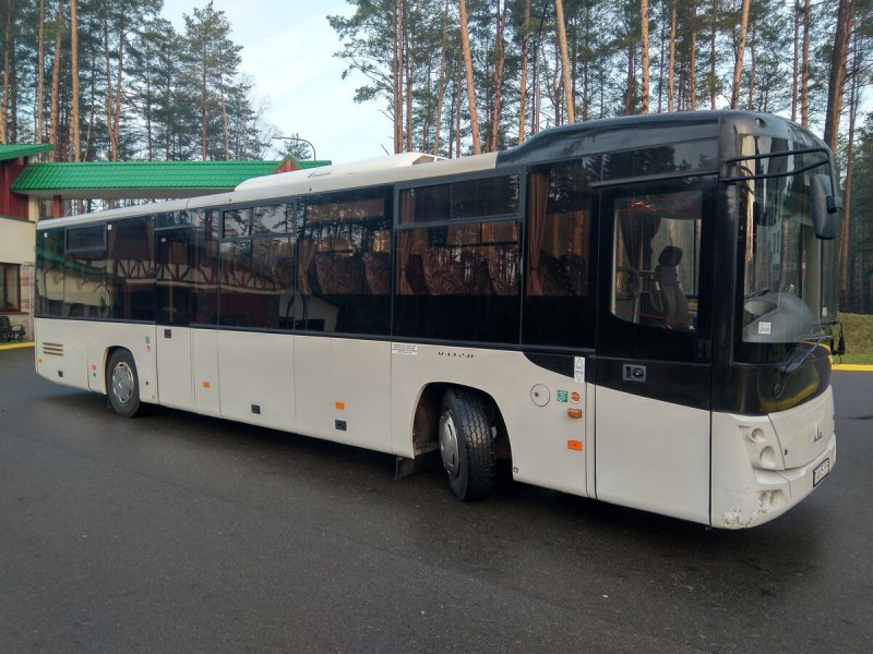 МАЗ-231062 (М 51)