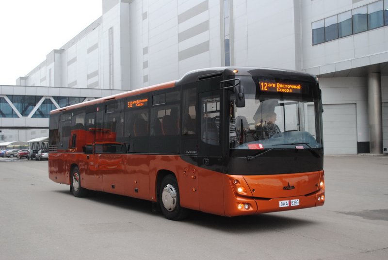 МАЗ 231062 М (51) междугородний