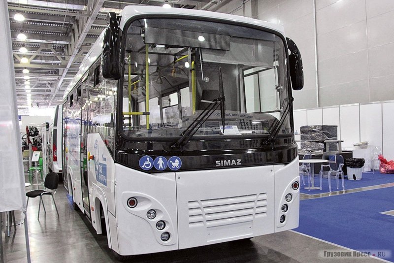 Автобусы Тагила Александр