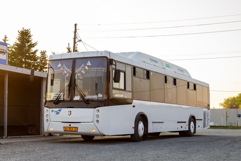 НЕФАЗ-5299 автобус