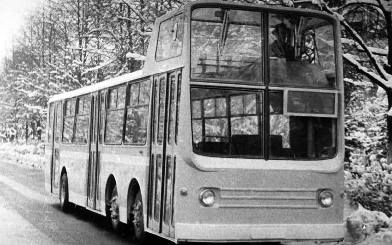 ЛАЗ-695 туристический