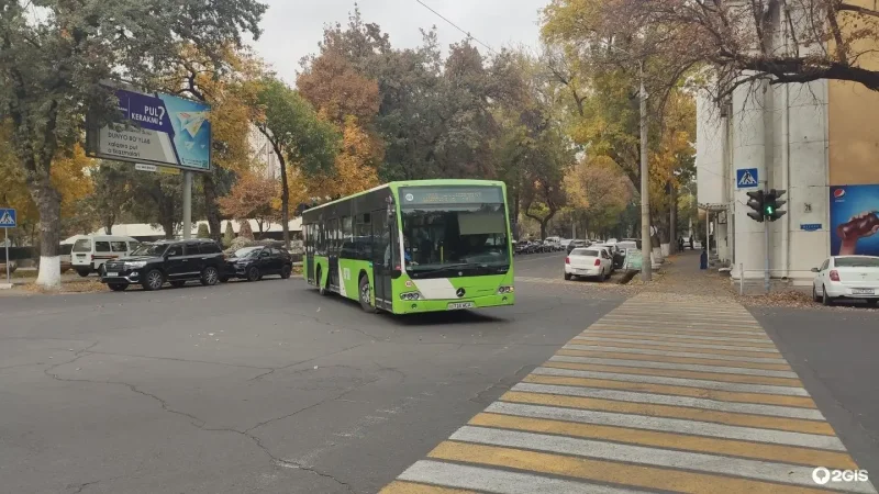 Автобус 13