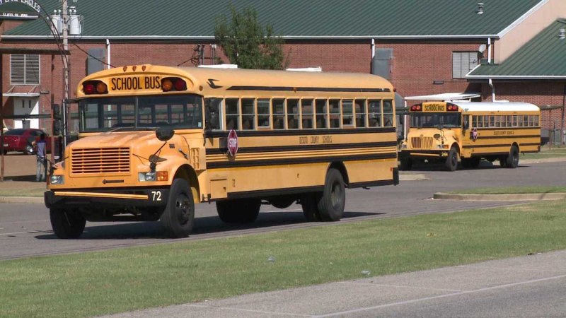 Американский школьный автобус в России