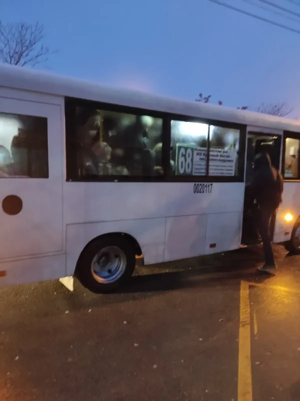 Скотовозка раздолбай автобус