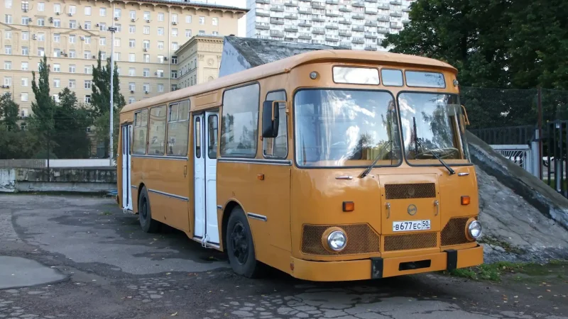 ПАЗИКИ для картошки