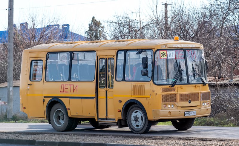 ПАЗ 3205 школьный автобус