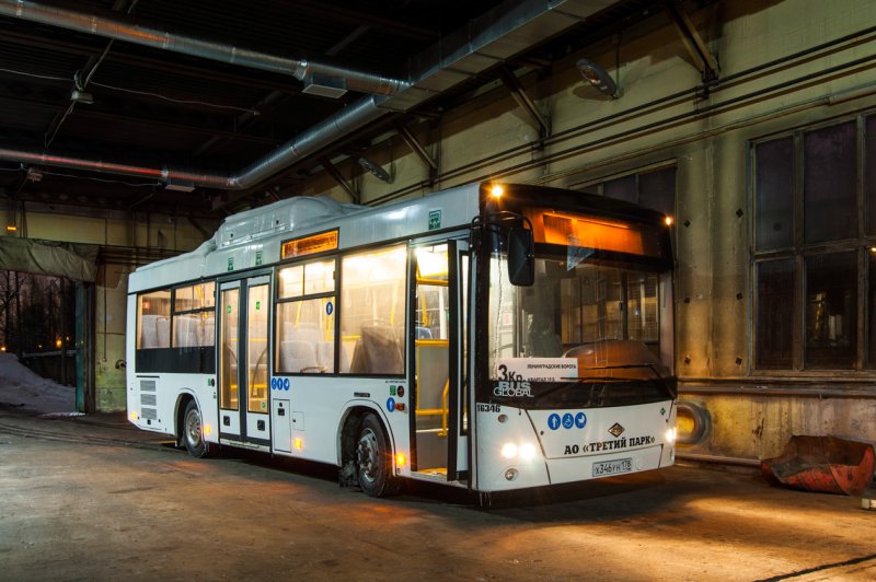 МАЗ 206 Лотос