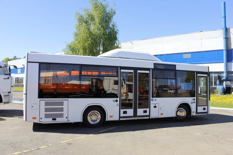 Автобус МАЗ 206 Лотос