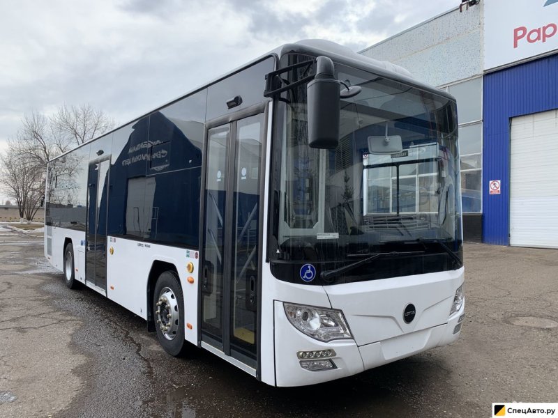 Новые автобусы