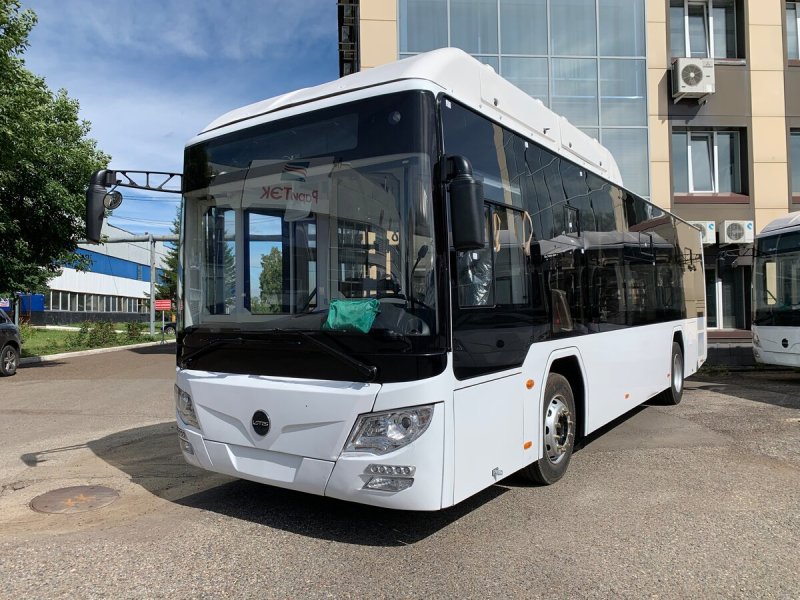 Автобус Лотос 206 РАРИТЭК