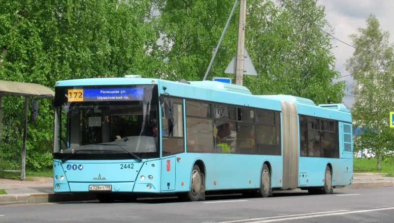 МАЗ 216066