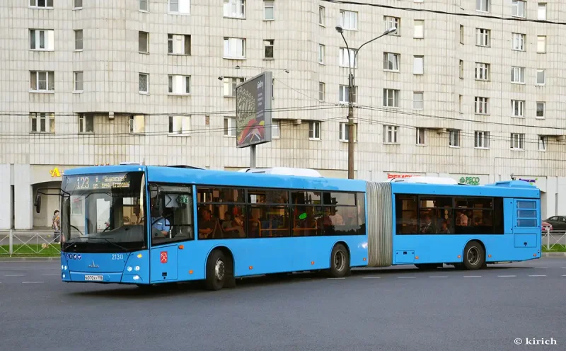 Автобус МАЗ 303 гармошка