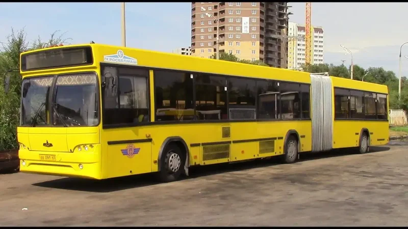 Автобус МАЗ 216 гармошка