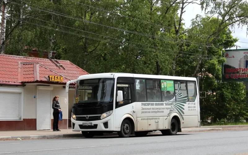 ПАЗ вектор Некст
