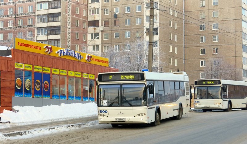 Пазик автобус Виктор Некст