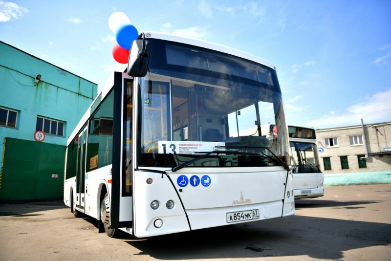 Автобусы США пассажирские