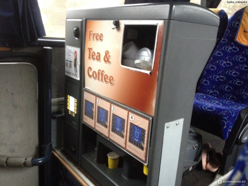 Эколайнс Смоленск Санкт-Петербург