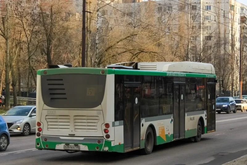 Волгабас Дельта 12