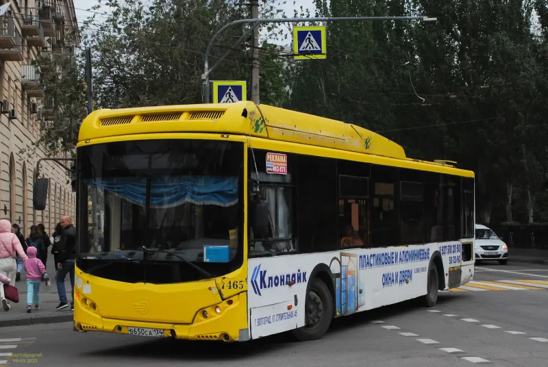 Волгабус 2020