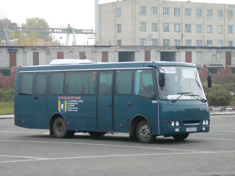 Радимич а421