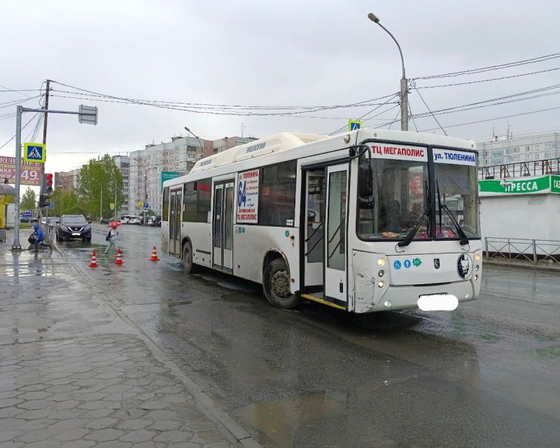 95 Автобус Новосибирск