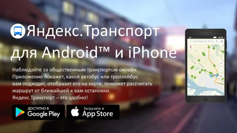 Оренбург автобус вектор Некст