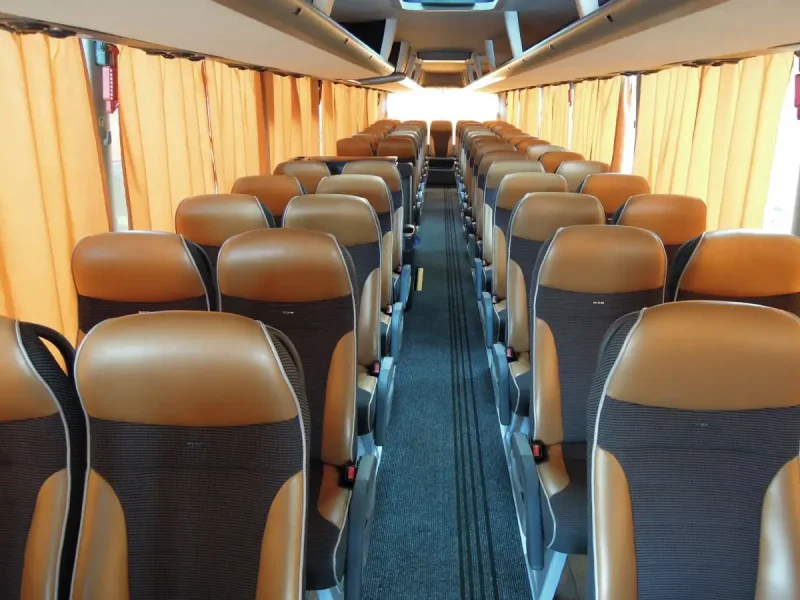 Kia Granbird (40) или man Lions coach (53)