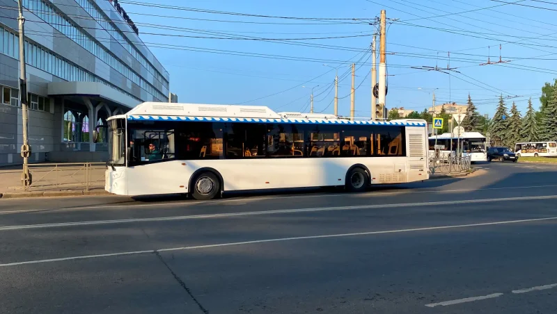 Гармошка Mercedes Future Bus