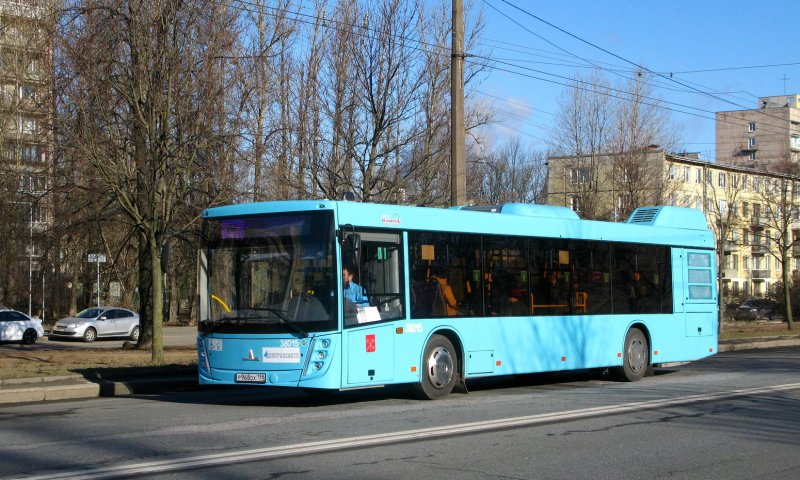 МАЗ 203 Санкт-Петербург
