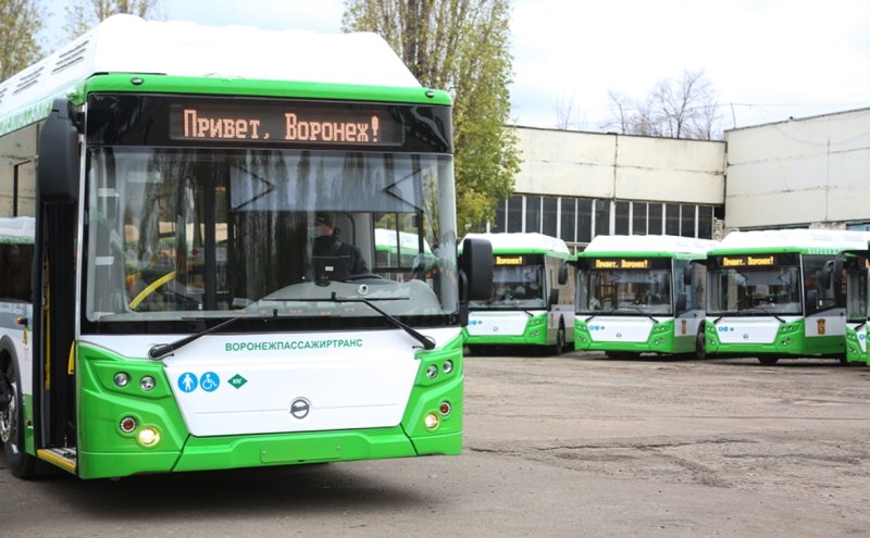 Автобусе в Воронеже Воронеже