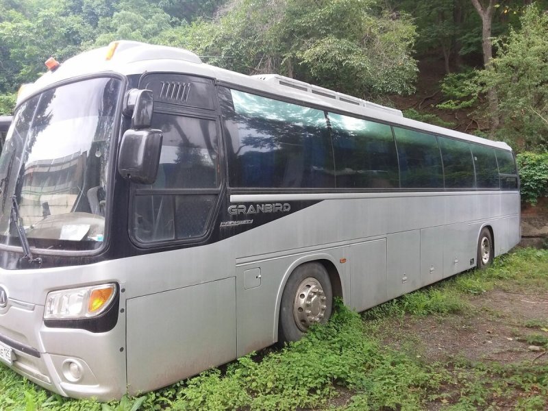 Kia Granbird Sunshine