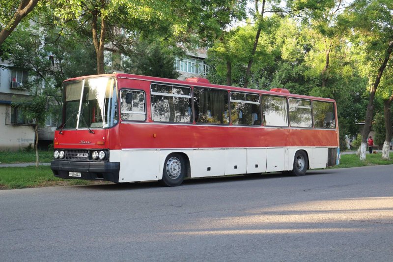 Ikarus 260.51