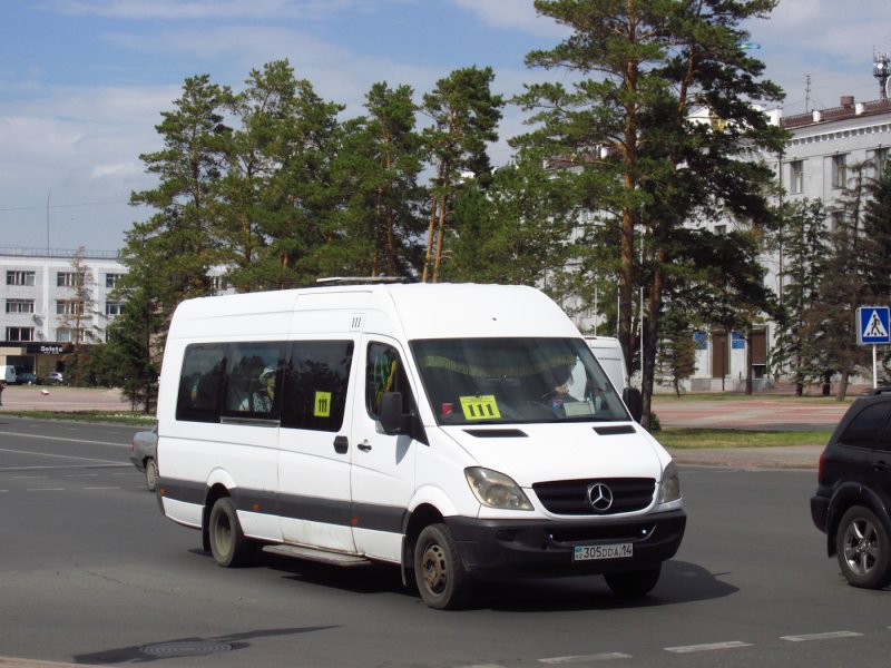 Mercedes Sprinter 2008 пассажирский