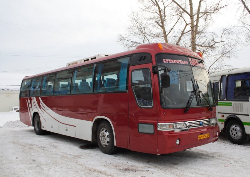 Американские туристические автобусы