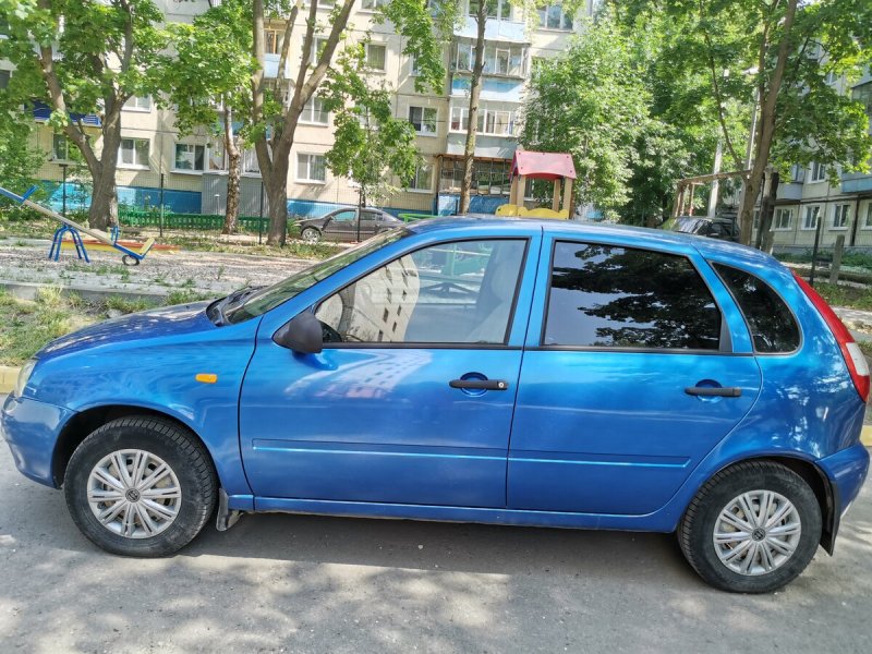 Матовая Калина 1 хэтчбек