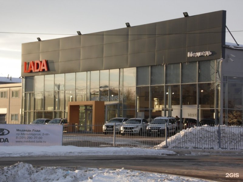 Медведь Лада Красноярск